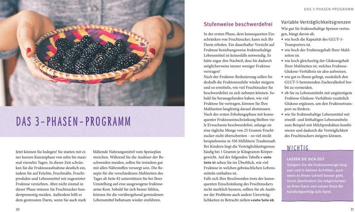 Produktbild Fruktose-Unverträglichkeit (Deutsch, Doris Fritzsche, 2017)