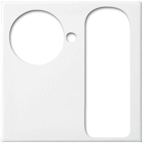 Produktbild Busch-Jaeger Zentralscheibe