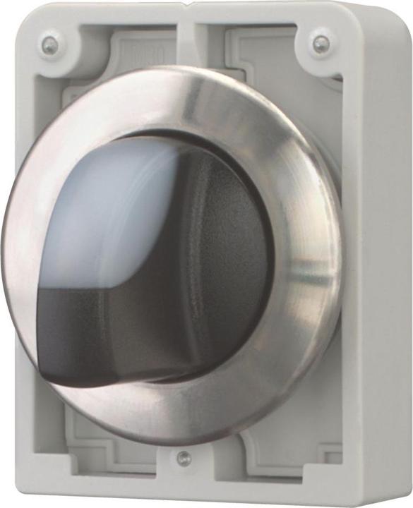 Actual product image Eaton Illuminated selector button RMQ-Titan