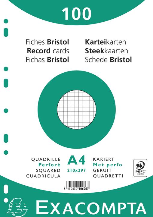 Exacompta Schede di valutazione (210 x 297 mm, 100 x)