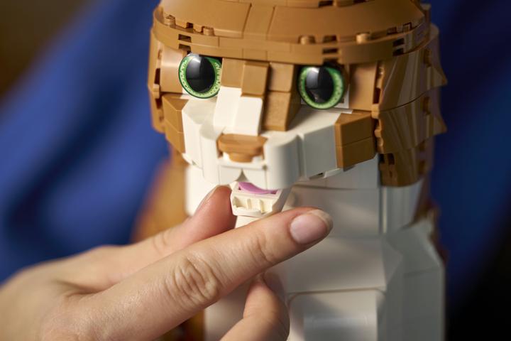 Image du produit LEGO Orange Cat (21376, LEGO Ideas)