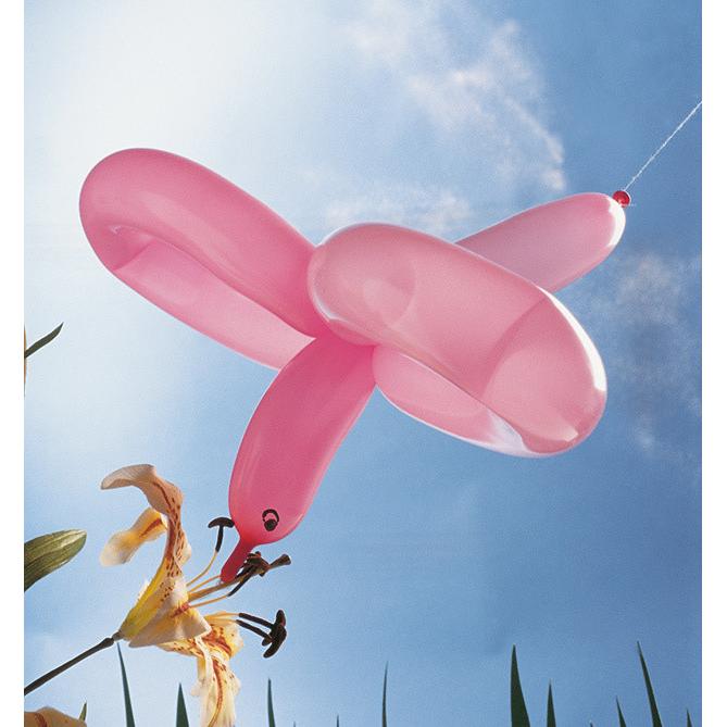 Thumbnail - Zaubereien mit Luftballons, Sachbücher von Linda Perina