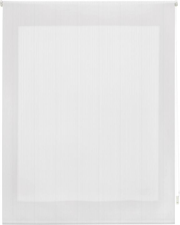 Produktbild Blindecor Gestreifte Rollo (140 x 180 cm)