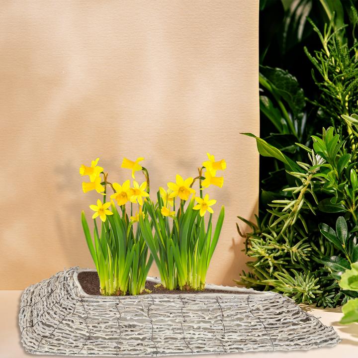 Image du produit Relaxdays 2x pot de fleurs (55 cm)