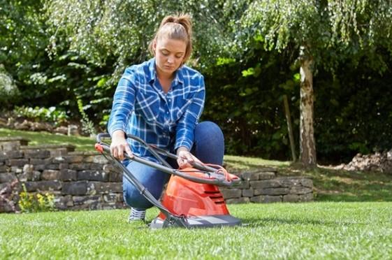 Actual product image Flymo Turbo Lite 250 Air Cushion Lawn Mower (Electrical connection)