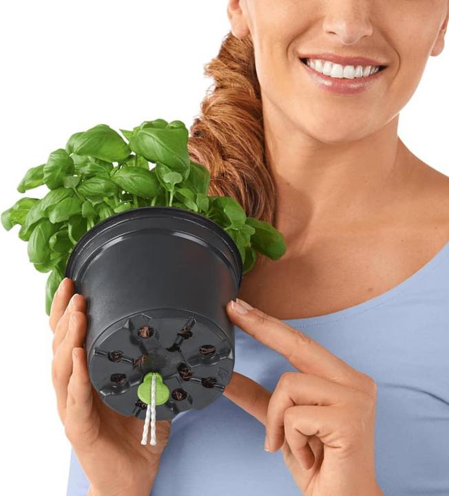 Image du produit Lechuza Couleur du cube (14 x 14 x 13.50 cm)