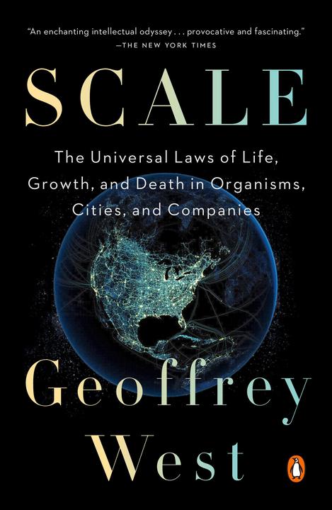 Produktbild Scale (Englisch, Geoffrey West, 2018)
