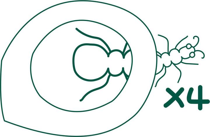 Produktbild Hape Naturdetektiv-Set