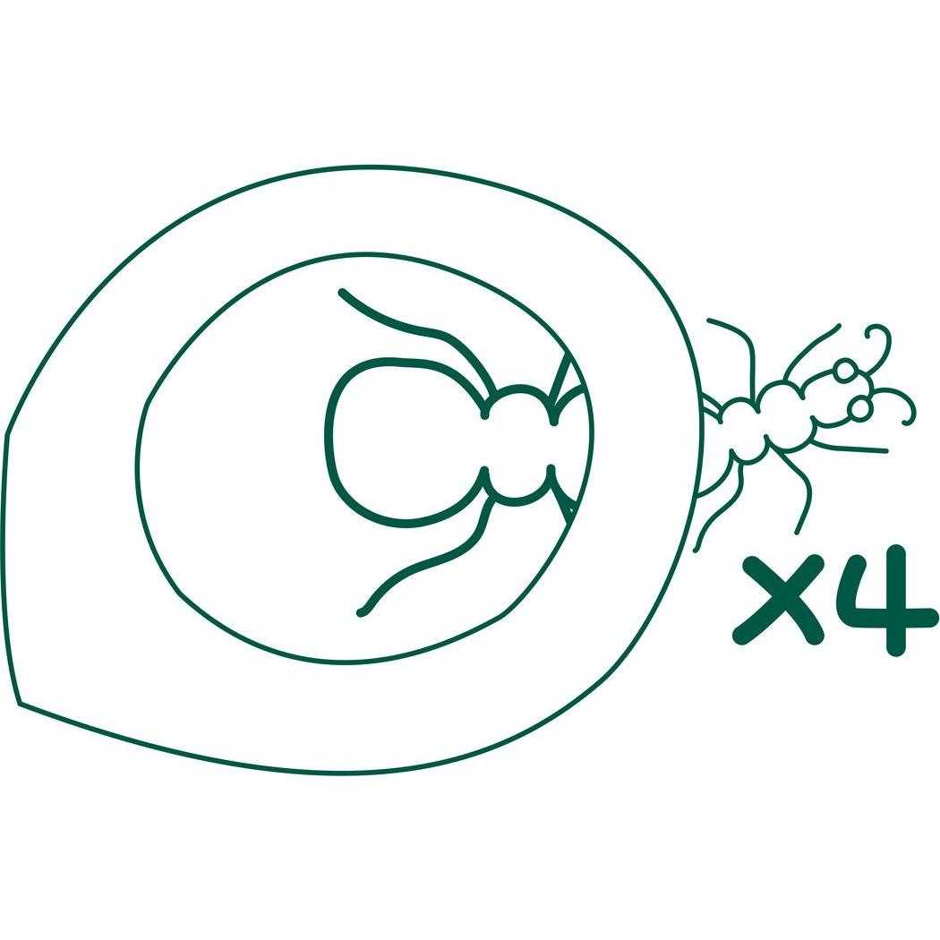 Thumbnail - Hape Naturdetektiv-Set