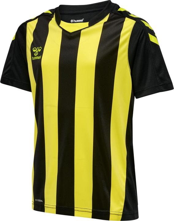 Produktbild hummel Core Xk Striped Jersey Kids S/S (128)