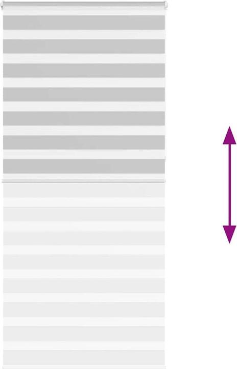 Produktbild vidaXL Zebra-Jalousie (110 x 230 cm)