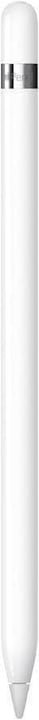 Apple Pencil (1. Generation) inkl. Adapter