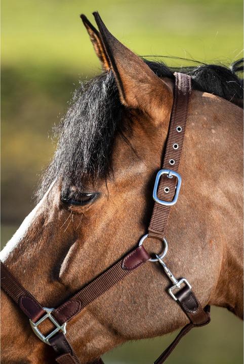 Produktbild HFI Master Néoprène Smart