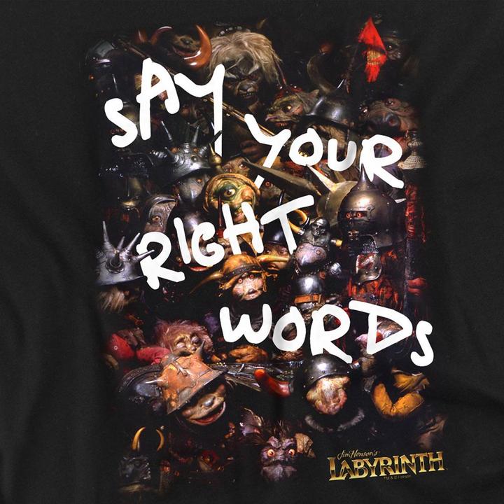 Produktbild Say Your Right Words TShirt (3XL)