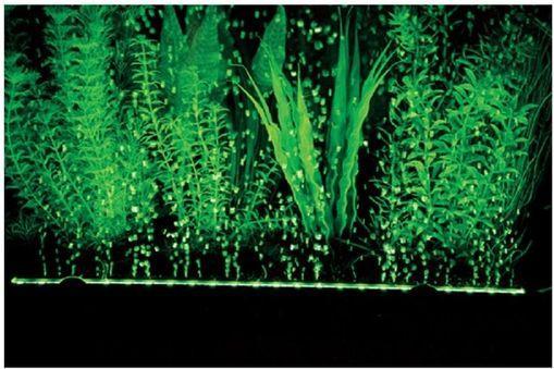 Produktbild Hobby Bubble Air LED Luftvorhang (LED, 5 W)