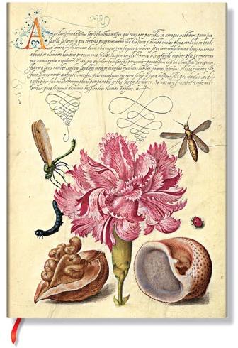 Image du produit Paperblanks Carnet de notes FB Midi Rose Oeillet unlin. (Blanc, Couverture souple)