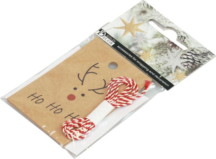 Produktbild Viana Weihnachtsanhänger Rentier Bastelset 4St