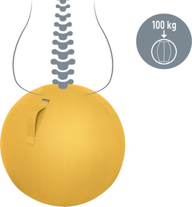 Image du produit Leitz Ballon-siège Ergo Cosy Active (65 cm)