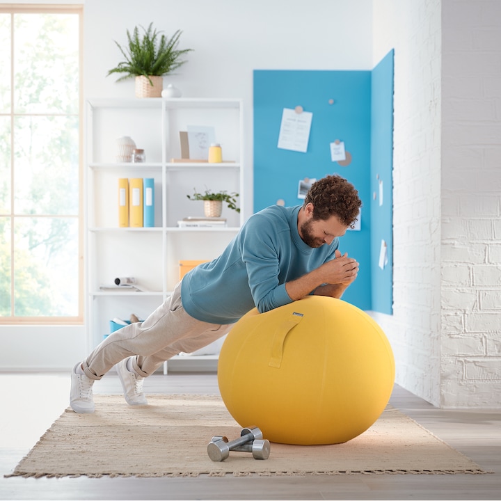 Actual product image Leitz Ergo Cosy Active sitting ball (65 cm)