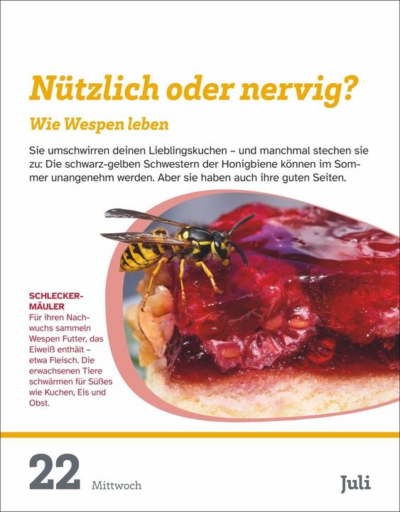 Immagine prodotto Harenberg WAS IST WAS Der Kalender Tagesabreisskalender 2026 - Kinderkalender