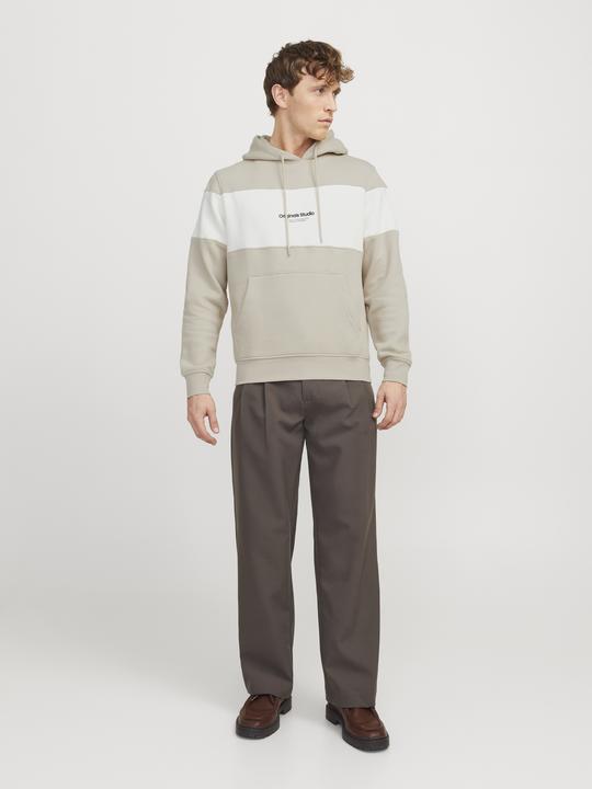 Immagine prodotto Jack & Jones Jorvesterbro Block Sweat Hood Styd Aw24 (S)