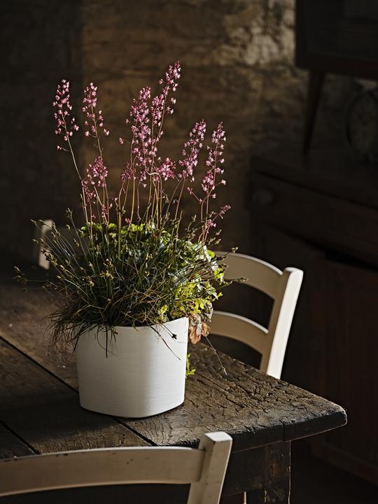 Produktbild Jaco Re Lite Pot Capri (29 x 29 x 27 cm)