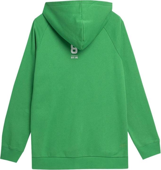 Image du produit 4F - Veste à capuche SS23TSWSM236 - Homme (L)