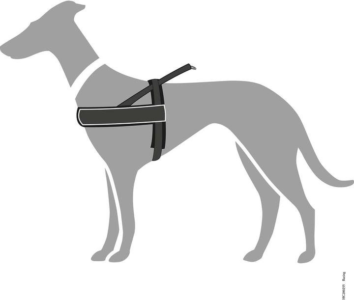 Immagine prodotto Hunter Imbracatura norvegese (XXL, Cane, Jogging, Moto)
