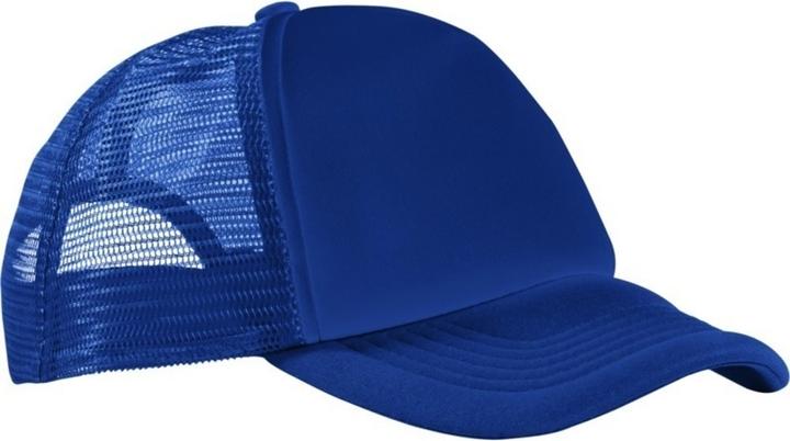 Bleu roi