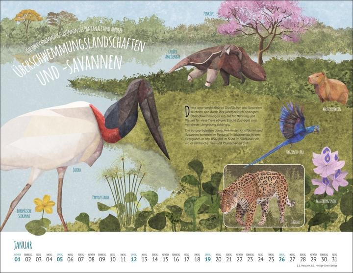 Produktbild Wo Tiere und Pflanzen zu Hause sind Kalender 2025 - Biome der Welt (44 x 34 cm)