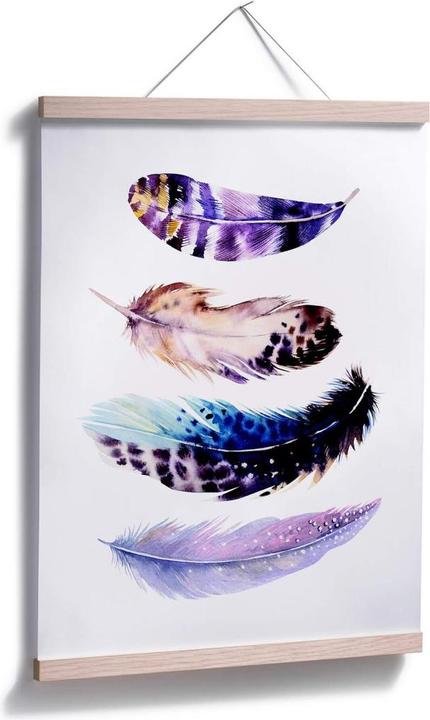 Immagine prodotto Trenddeko Molle 01 (50 x 60 cm)