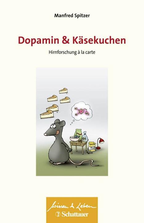Dopamine and cheesecake