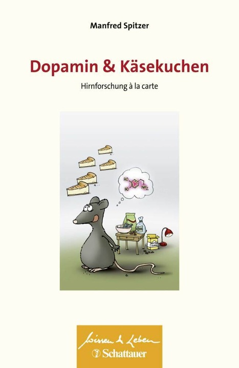 Actual product image Dopamine and cheesecake