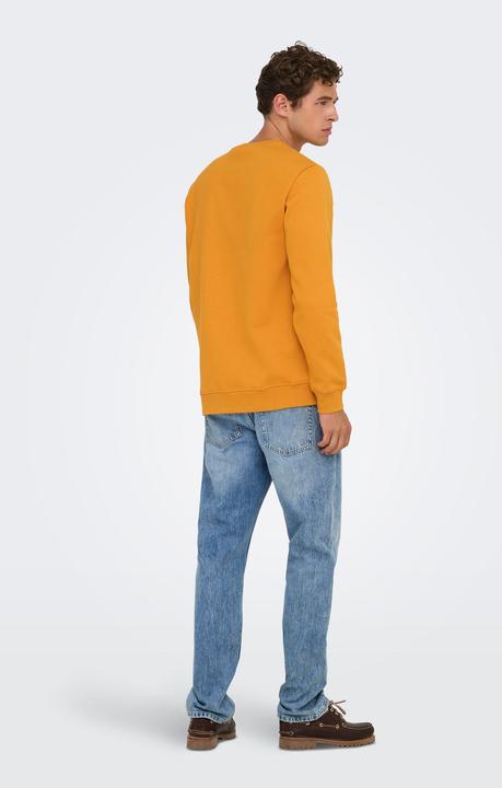 Produktbild Only & Sons Onsconnor Reg Crew Neck Sweat Noos (L)