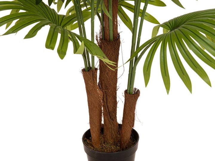 Produktbild Europalms Fächerpalme, Kunstpflanze, 165cm