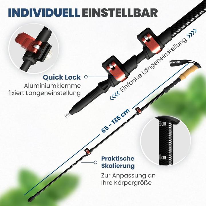 Immagine prodotto Steinwood Premium Carbon Wanderstöcke