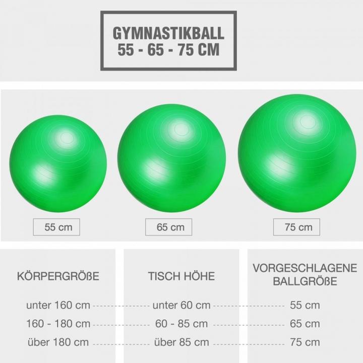 Immagine prodotto Gorilla Sports Palla da ginnastica (75 cm)