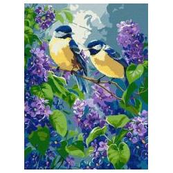 Ideyka Malen nach Zahlen - Frühlingsduett (59728811)