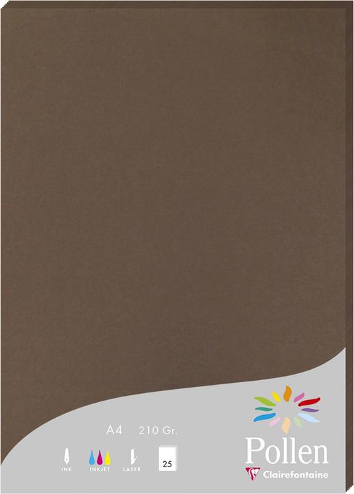 Produktbild Pollen Papier (210 g/m², A4)