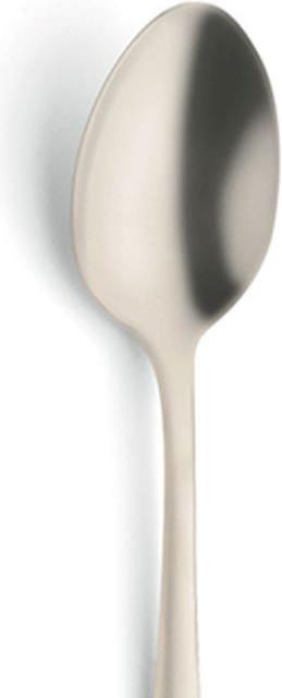 Actual product image Amefa Austin (6 pcs., Scoops)