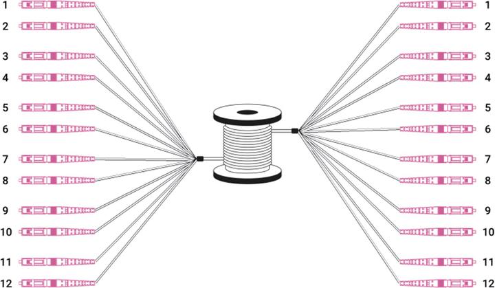 Produktbild Digitus Vorkonfektionierte Glasfaser Universal Breakout Kabel, Multimode OM4, 12 Fasern, LC/UPC - LC/UPC (LSOH, CAT8.1, 30 m)