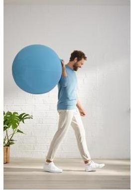 Actual product image Leitz Ergo Cosy Active sitting ball (65 cm)
