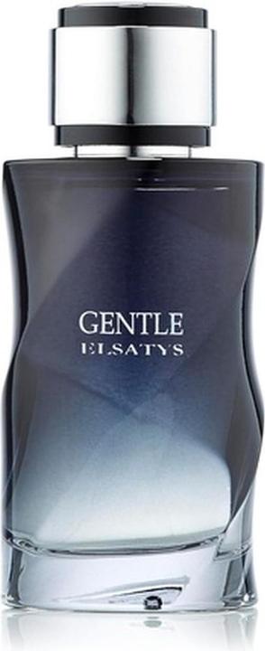 Immagine prodotto Reyane Tradition Gentle Elsatys EDP 100 ml (Eau de parfum, 100 ml)