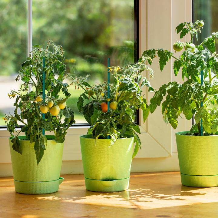 Actual product image Relaxdays 50x planting sticks (0.50 cm, 0.50 cm)