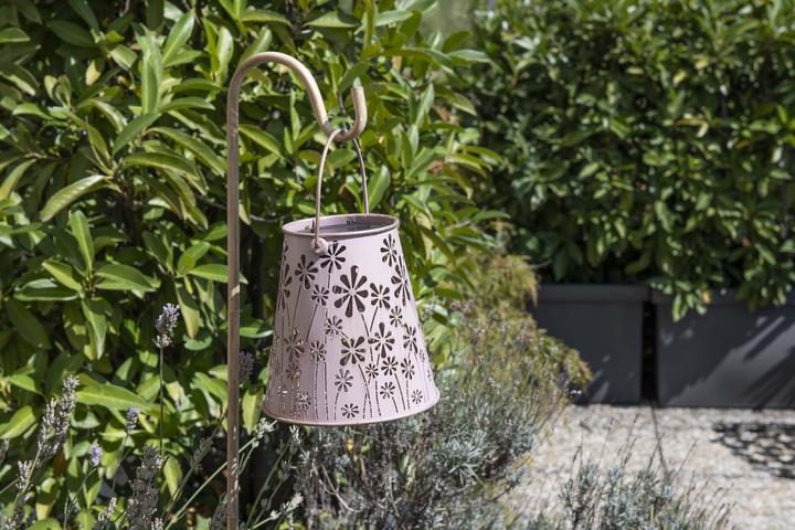 Image du produit STT Antic Daisy