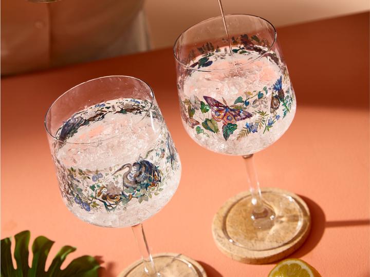 Immagine prodotto Ritzenhoff 2er-Set Gin-Kelch SCHATTENFAUNA (7 dl, 2x, Bicchieri di gin)