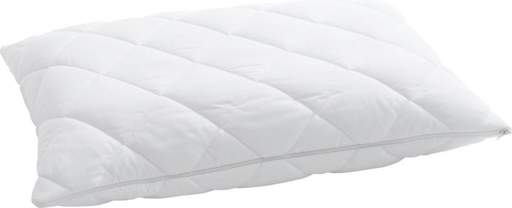 Billerbeck Vario (50 x 70 cm)