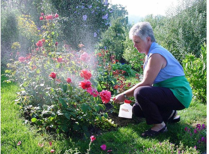 Actual product image Birchmeier Florajet (1 l)
