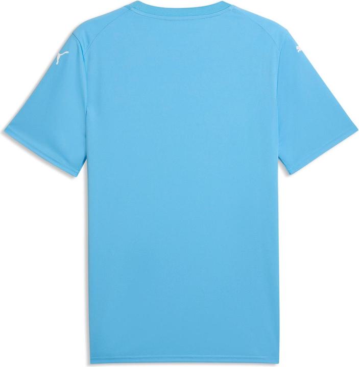 Produktbild Puma teamFINAL Graphic Jersey (M)