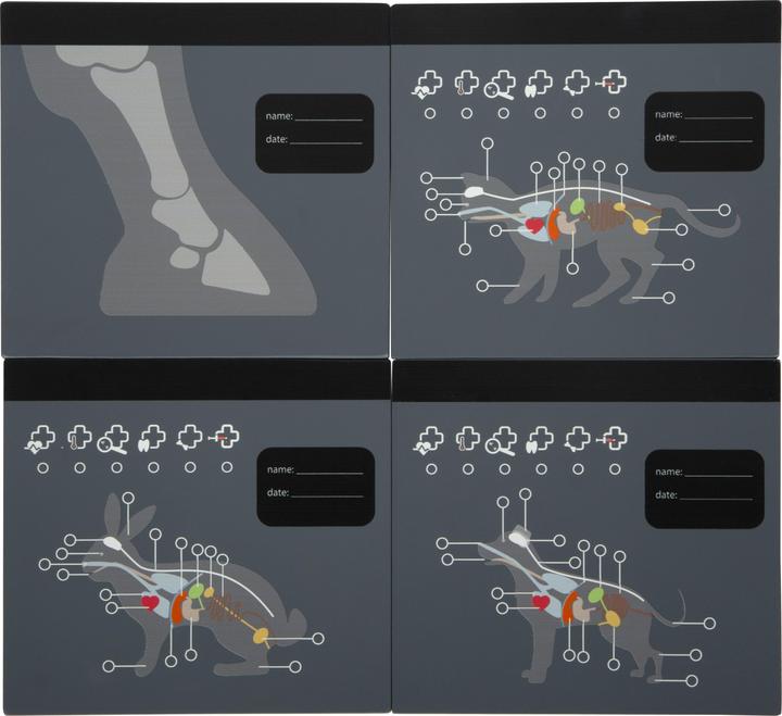 Produktbild small foot Tierarzt-Tasche mit Hase